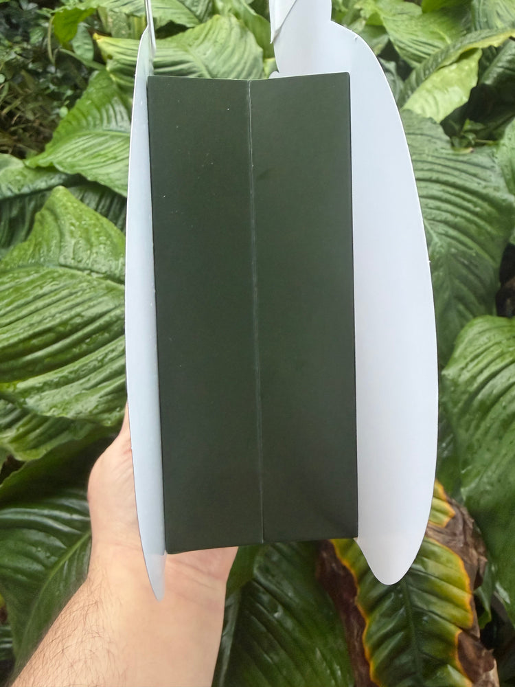 Laulau favor bag