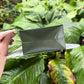 Laulau favor bag
